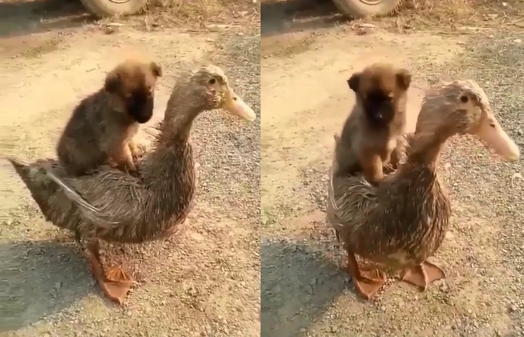 May this inspiring story continue to mot...