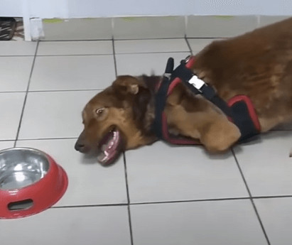 Extra image from article