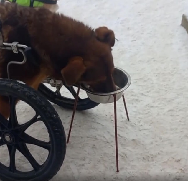 Extra image from article