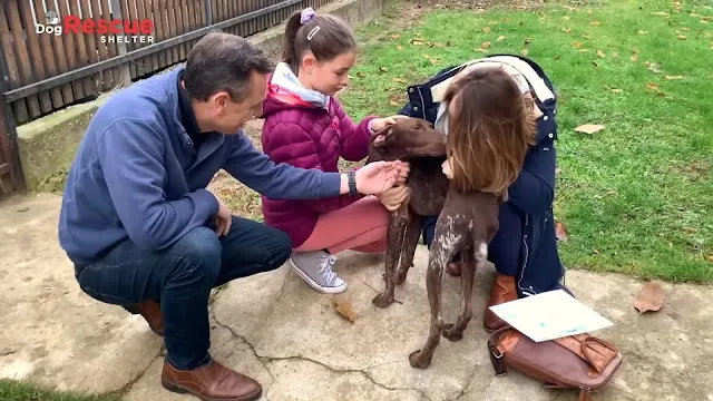 Extra image from article