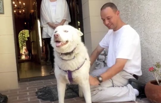 Extra image from article