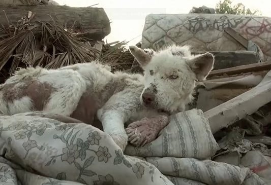 Miley's recovery took an interesting tur...