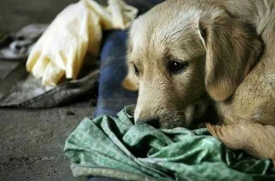 Realizing the situation, the young man c...