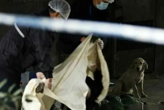 Extra image from article