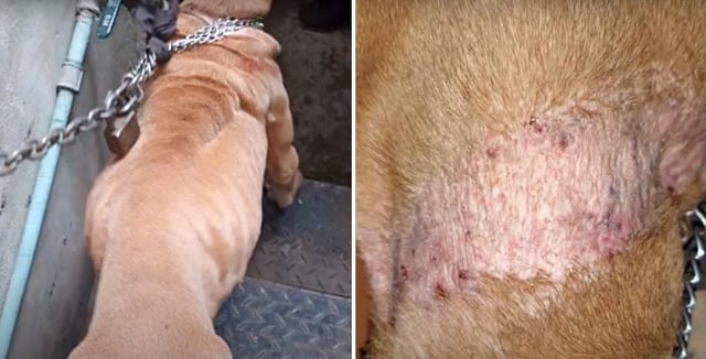 Extra image from article