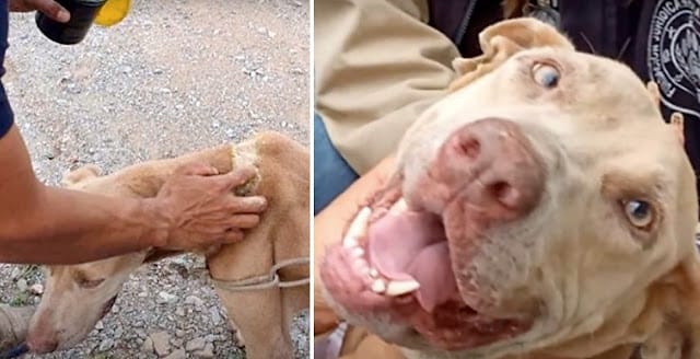 Extra image from article