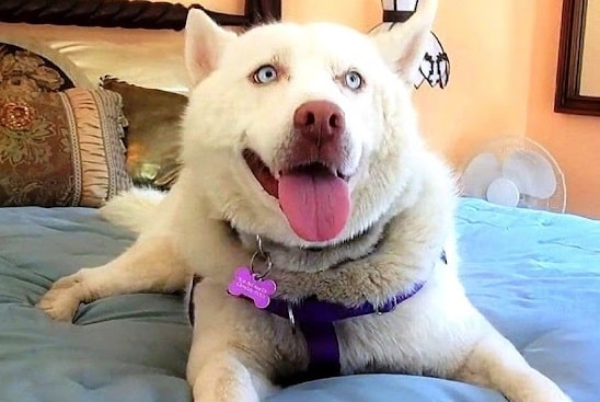 Extra image from article