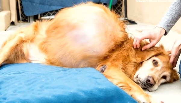 Henry's remarkable story attracted media...