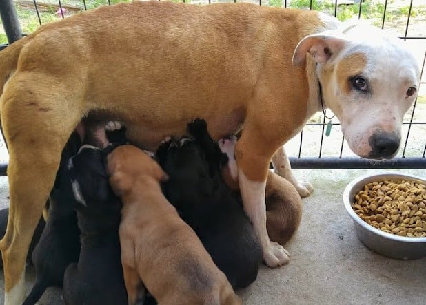 Extra image from article