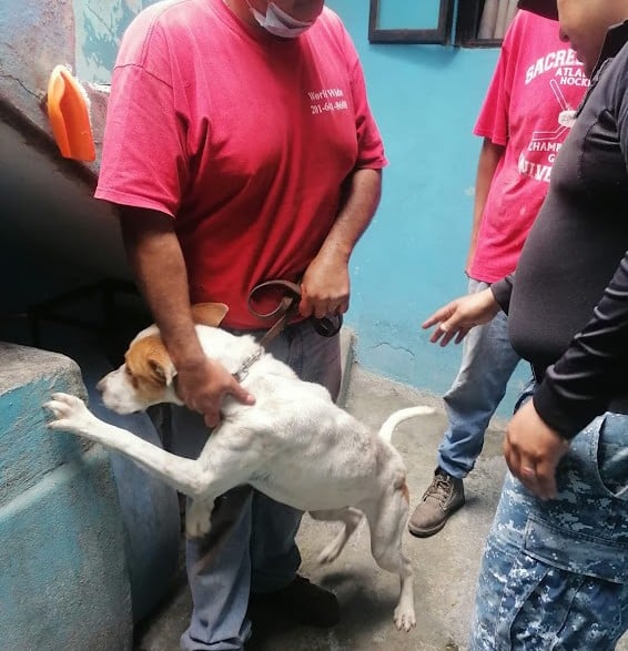 Extra image from article