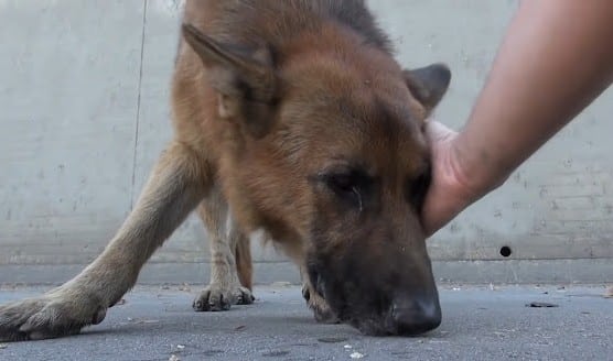 To spread awareness and appreciation for...