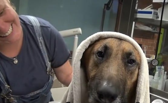 Extra image from article