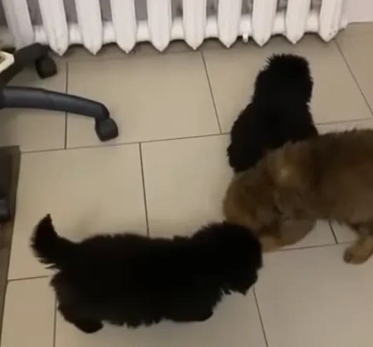 Reflecting on the timely intervention, t...