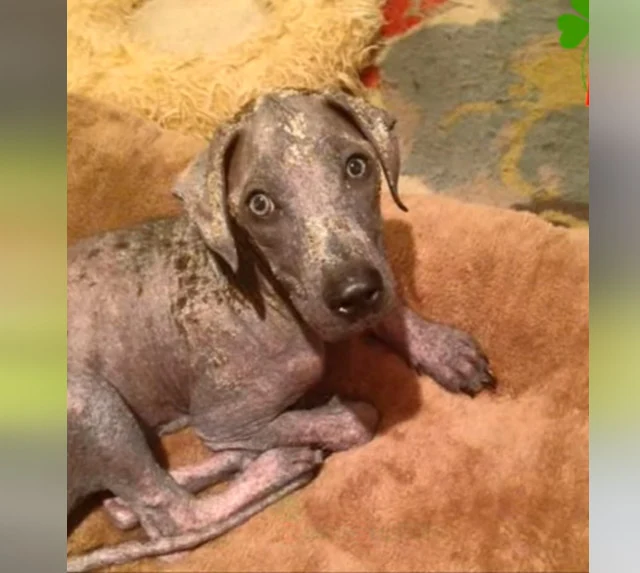 Extra image from article