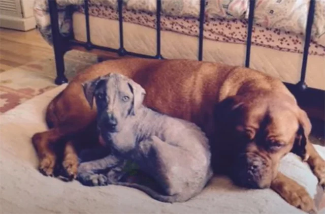 Extra image from article