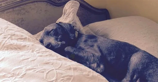 Extra image from article