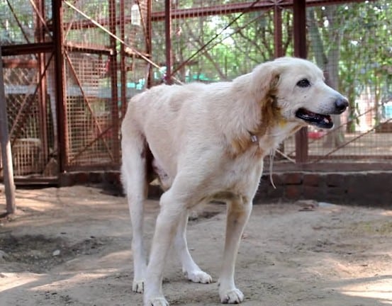 Extra image from article