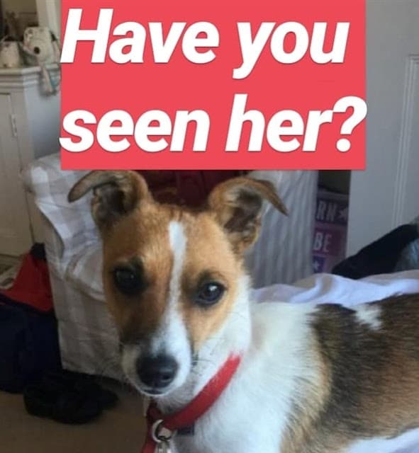 On the third day, just as hope was start...