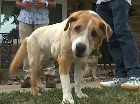 Fredman's quick thinking and compassiona...