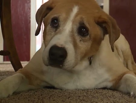 Extra image from article