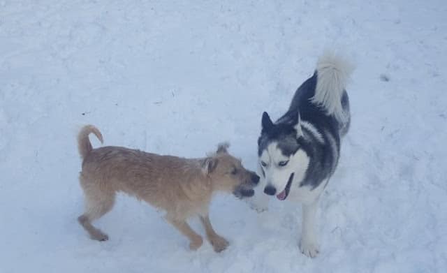 Extra image from article