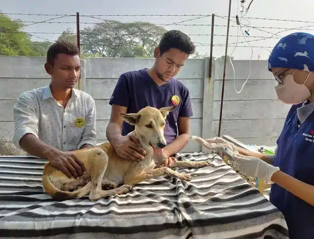 Extra image from article