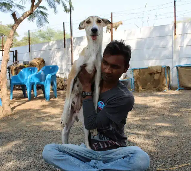 Extra image from article