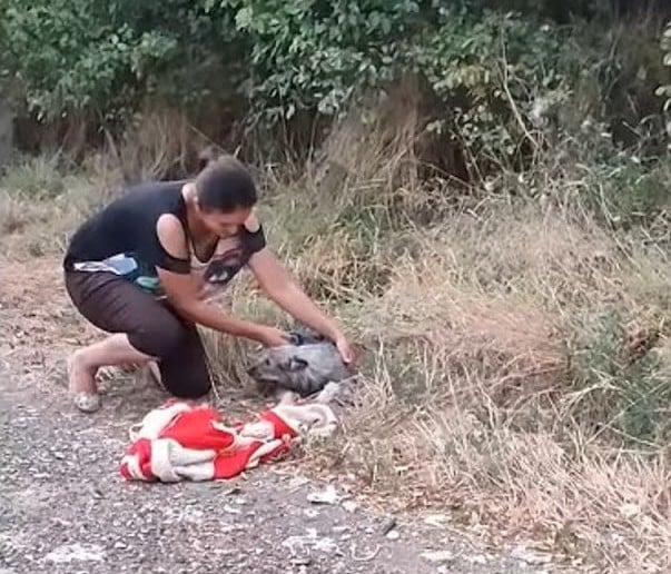 Extra image from article