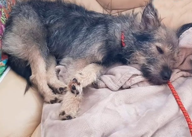 Extra image from article