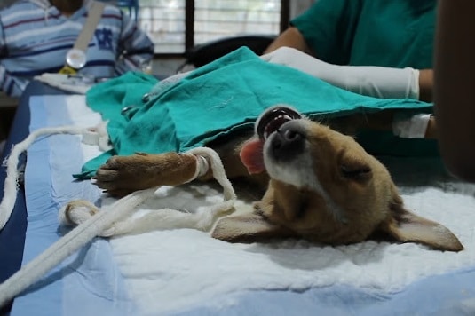 Feel free to share this heartwarming sto...