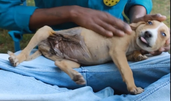 Extra image from article