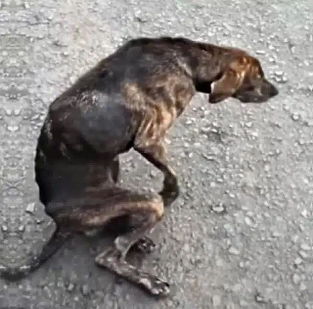 Amidst the bustling city, where life tee...