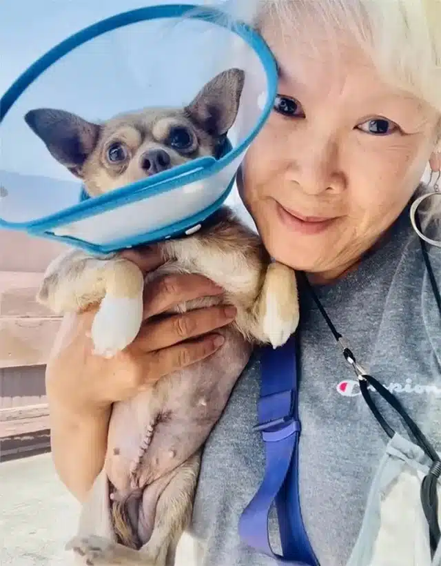 Today, Sassy embodies joy and thrives in...