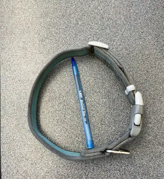 The search for a suitable home took seve...