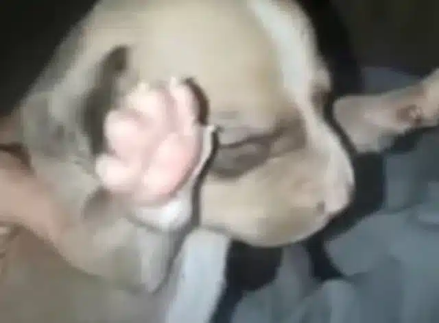 This story, unfortunately, highlights a ...