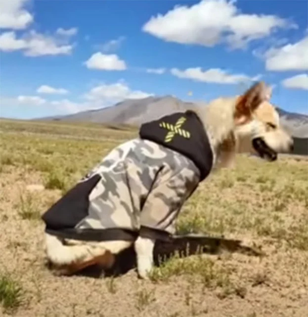 Extra image from article