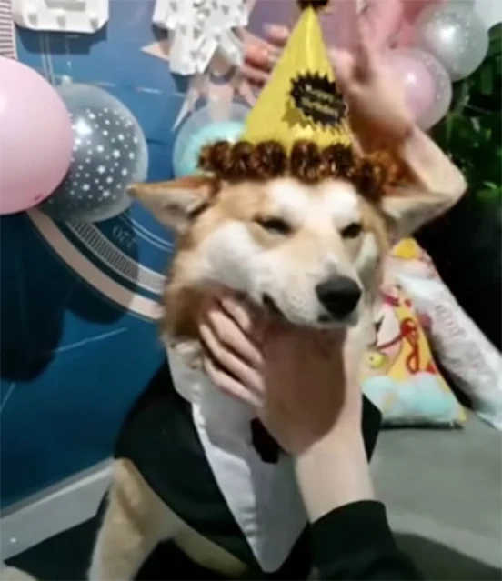 Extra image from article