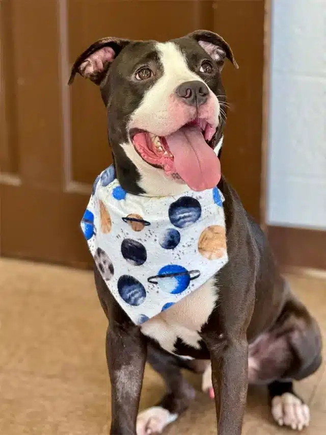 Extra image from article