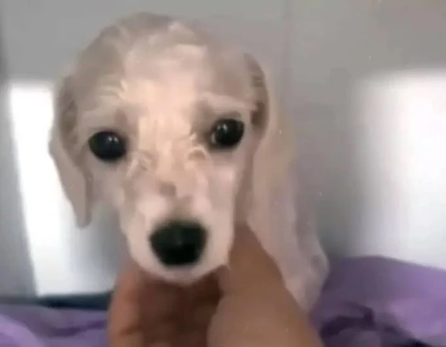 The kindness and perseverance that got h...