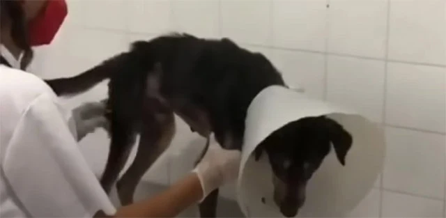 His journey to recovery was challenging ...