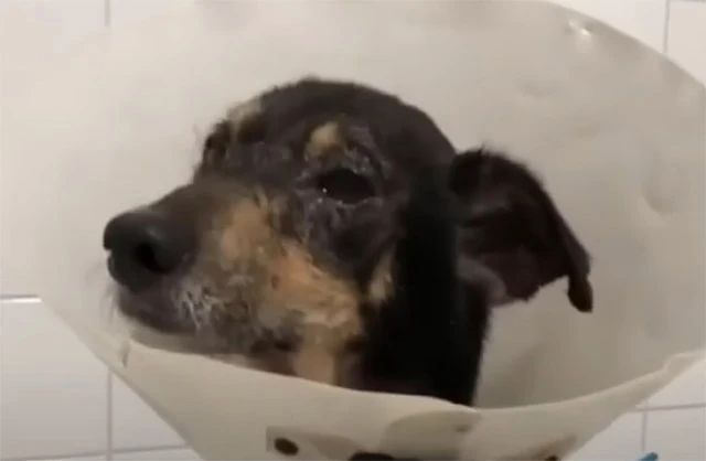 Three months into his recovery, Black wa...