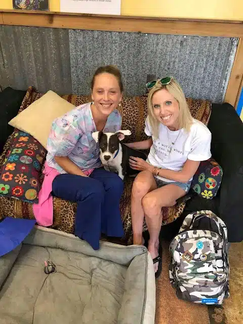 Extra image from article