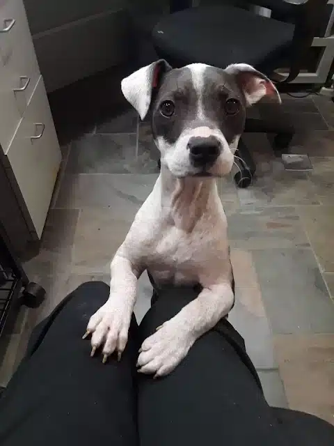 Extra image from article