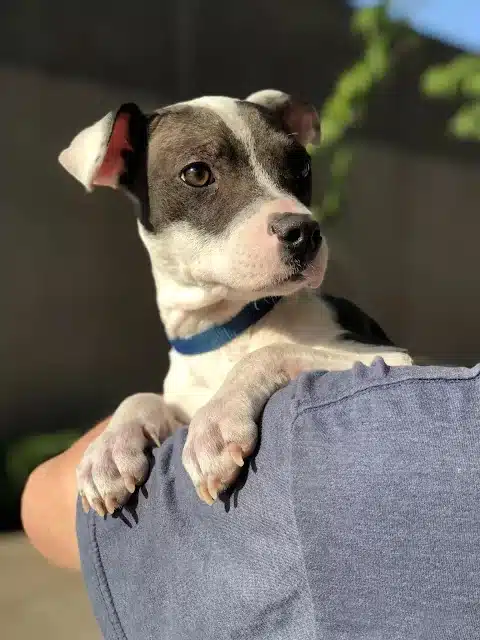 Extra image from article