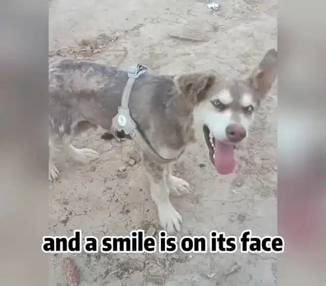 She brought fresh food, medicine for his...