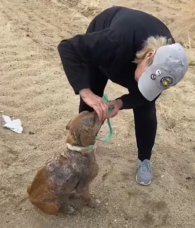 Initially, Raleigh's health was fragile,...