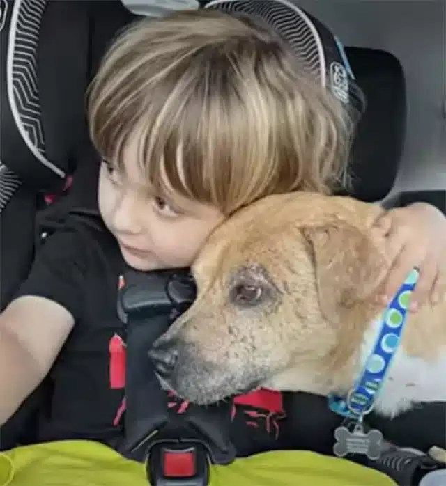 Extra image from article