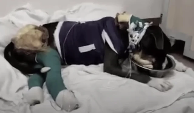 Extra image from article