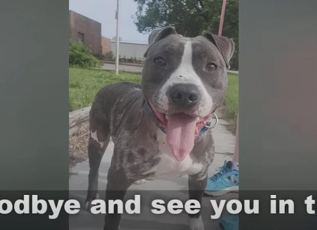 Extra image from article