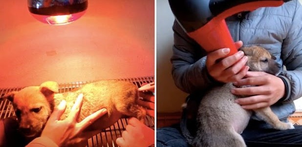 Extra image from article